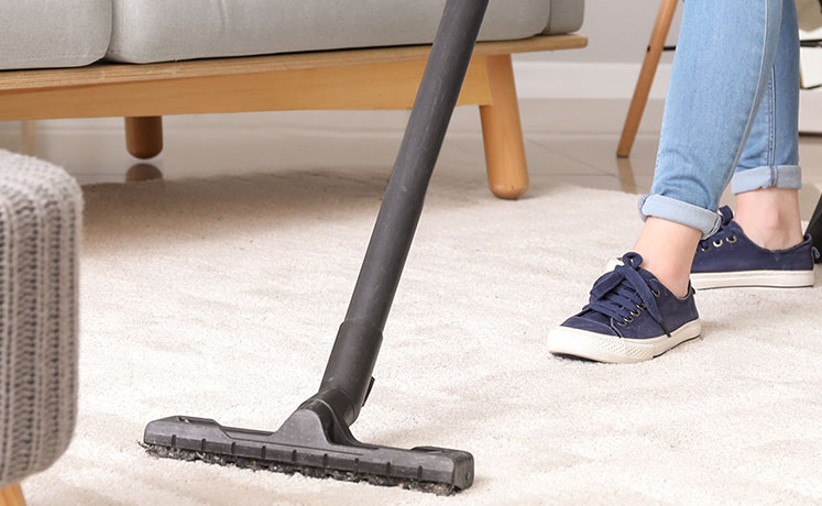 Reinigung eines Teppichs durch die Haushaltshilfe eines Appartements